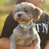 Puppy Choice Polyester OEM Pattern Dog Harness