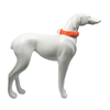 Reflective 5cm Thick Neoprene Nylon Training Choke Dog Collar 