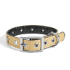 Metal Decoration PU Leather Pet Dog Collar 