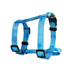Mini Dog No Pull Cat Harness And Leash Set