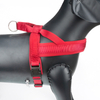 Comfortable Thick Neoprene Lining No Pull Dog Harness