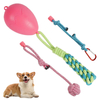 Interesting Puzzle Dinosaur Eggs Dog Toy for Playing Treat Toy