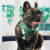 Festival Theme Pattern OEM Customized Polyester Soft Dog Bandana for Christmas