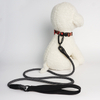 Neoprene Handle Design Reflective Nylon Woven Rope Dog Leash with Aluminum Alloy Clip