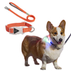 Electronic Lighting Transparent Buckle Night Use Pet Dog Collar Leash with Matte Metal Accessories