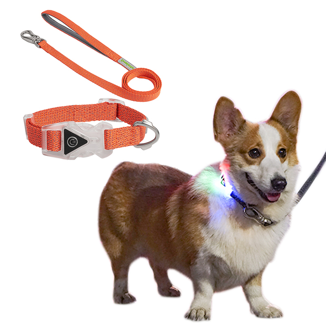 Electronic Lighting Transparent Buckle Night Use Pet Dog Collar Leash with Matte Metal Accessories
