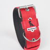 5cm OEM Color Nylon with Neoprene Three Layers Large Combat Pet Dog Collar