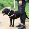 Bamboo Fiber with Cotton Light Dog Collar Harness Leash Set