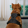 Anti-pull Thick Lining Reflective Dog Harness Adjustable