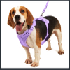 Petisland Macaron Dog Harness PVC Coating Collar And Leash with Plastic Poo Bag Holder