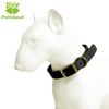 Petisland Classical Genuine Leather Dog Collar With Pin Buckle