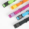 PVC/TPU Soft Material Pet Dog Collar Leash Set for Easy Cleaning 