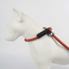 Updated Reflective Rope Nylon Dog Leash P Shape Training Lead with New Design Metal Lock