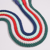 Luxury Woven Cotton Rope Leash Pet Dog Lead