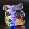 Electronic Lighting Transparent Buckle Night Use Pet Dog Collar Leash with Matte Metal Accessories