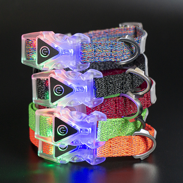 Electronic Lighting Transparent Buckle Night Use Pet Dog Collar Leash with Matte Metal Accessories