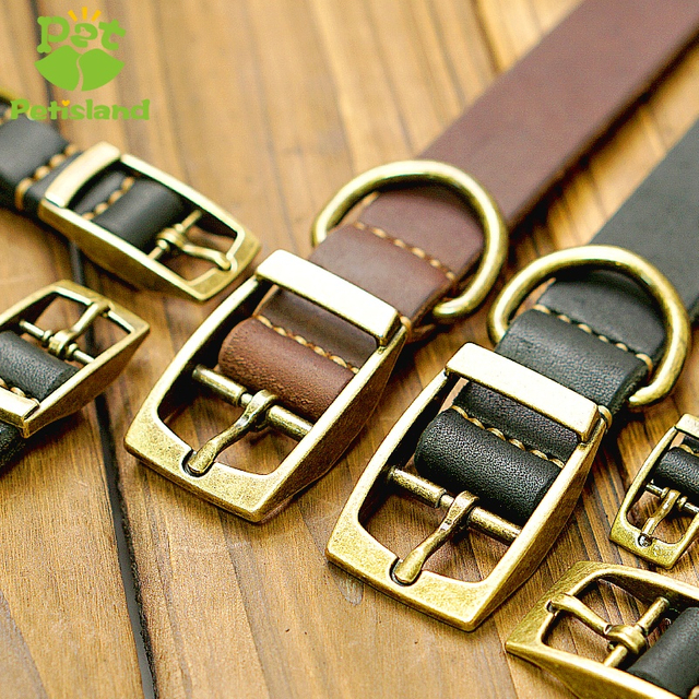 Petisland Classical Genuine Leather Dog Collar With Pin Buckle